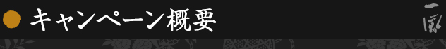 キャンペーン概要